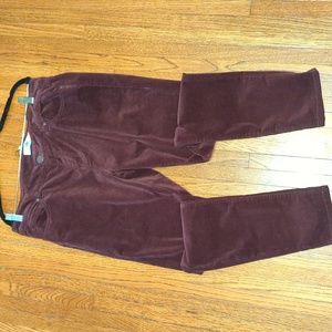 cabi Skinny Cords